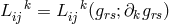 L ijk = L ijk(grs;∂kgrs)