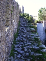The medieval walls in Óbidos